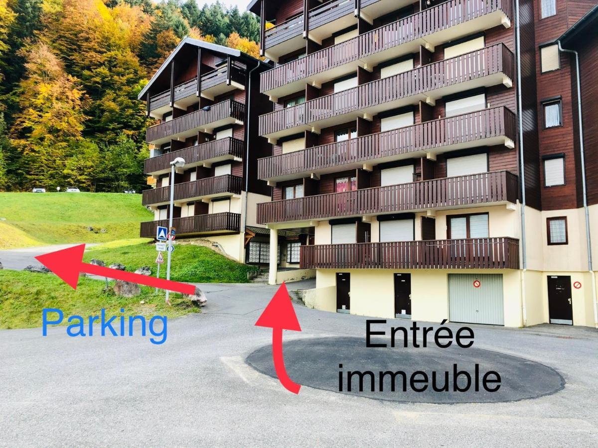 Studio 4 Personnes A 80M Des Pistes De Ski Saint-Jean-dʼAulps Buitenkant foto